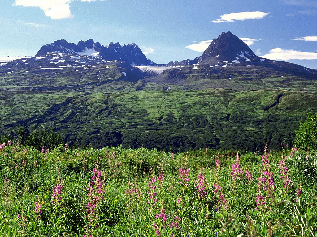 Thompson Pass, Chugach Range, Alaska